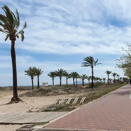Apartment Velvet Gandia