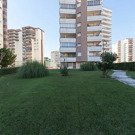 Apartment Velvet Gandia